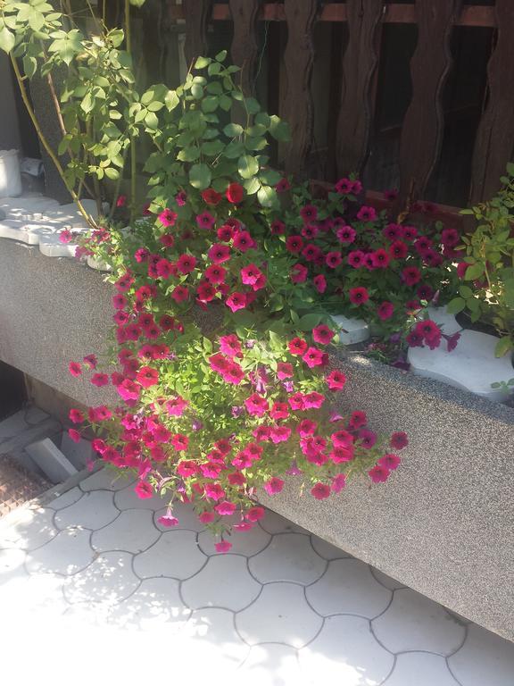 Apartment A&D Pančevo Esterno foto